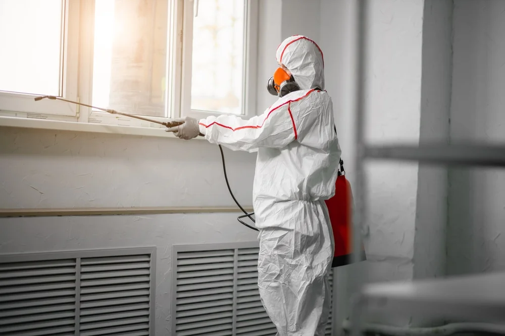 Professional mold remediation services in Hot Springs Village, AR